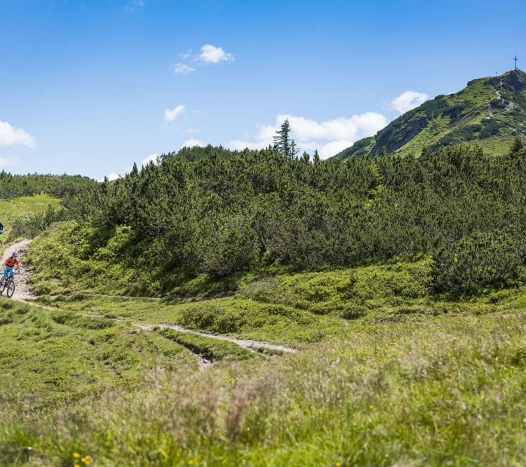 Verschiedenste Touren für Biker © Flachau Tourismus