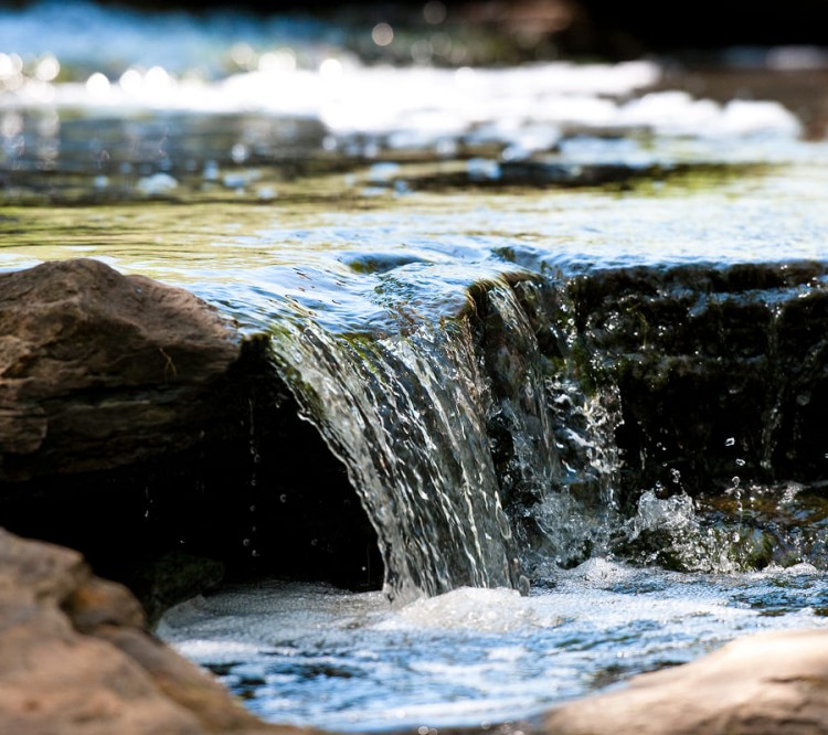 Sparsamer Umgang mit Wasser&copy; Shutterstock