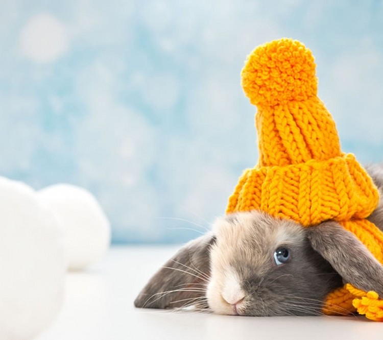 Osterfamilienaktion Ski amadé © Shutterstock